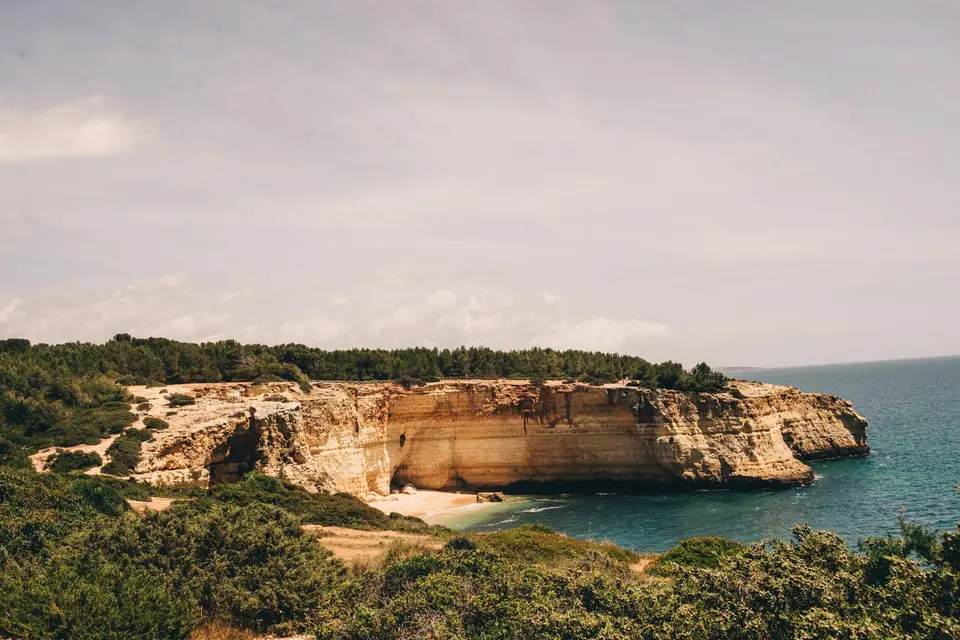 Idyllic coastal cliffs with lush greenery and clear ocean view.