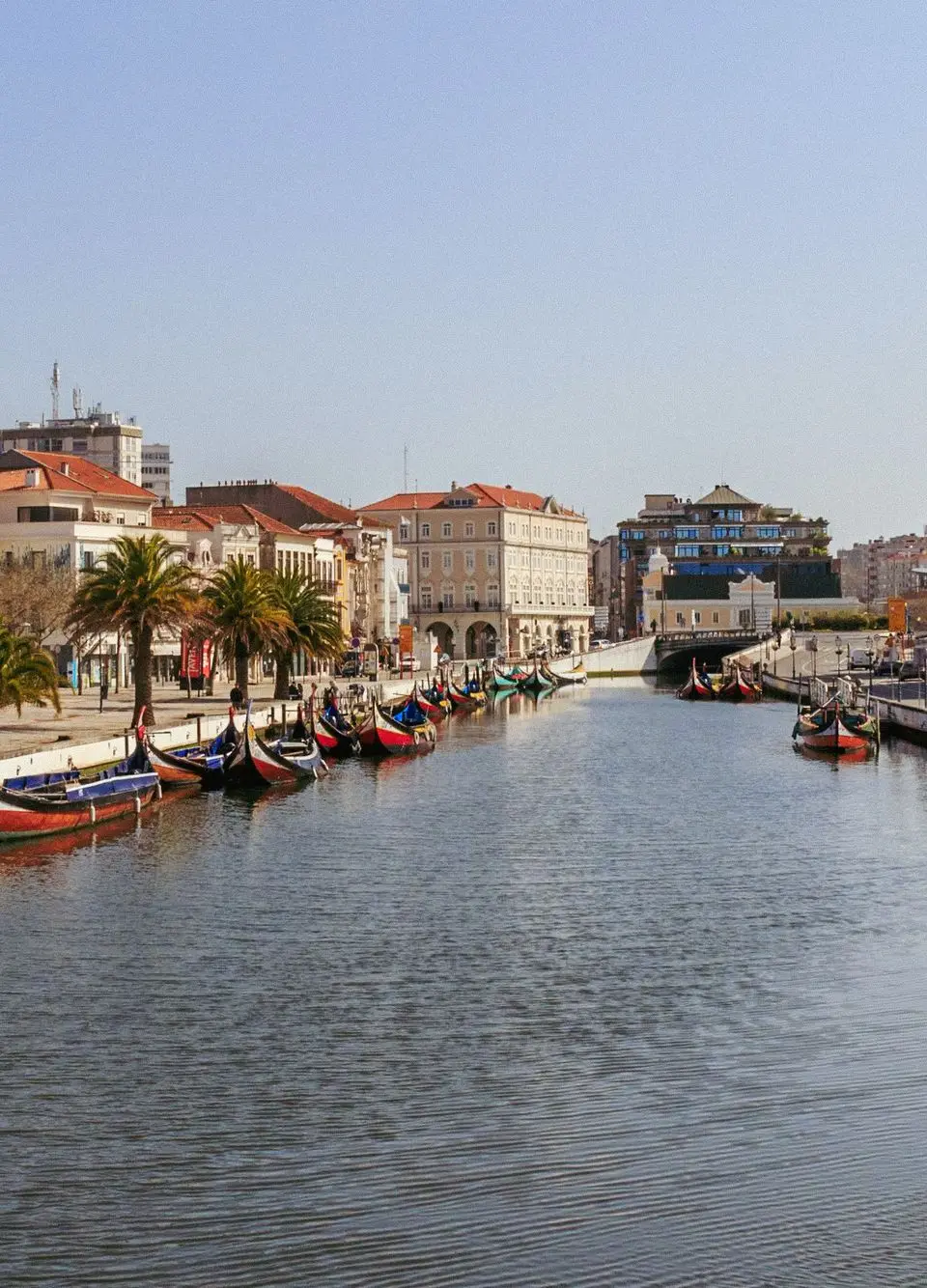 Charming view of Aveiro's central canal with colorful moliceiros and classic architecture along the waterfront.