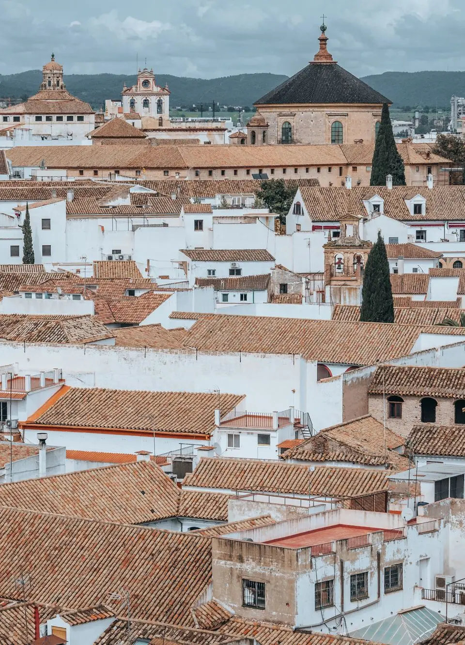 Aerial shot of Córdoba's traditional white rooftops and Mezquita, showcasing historic architecture.