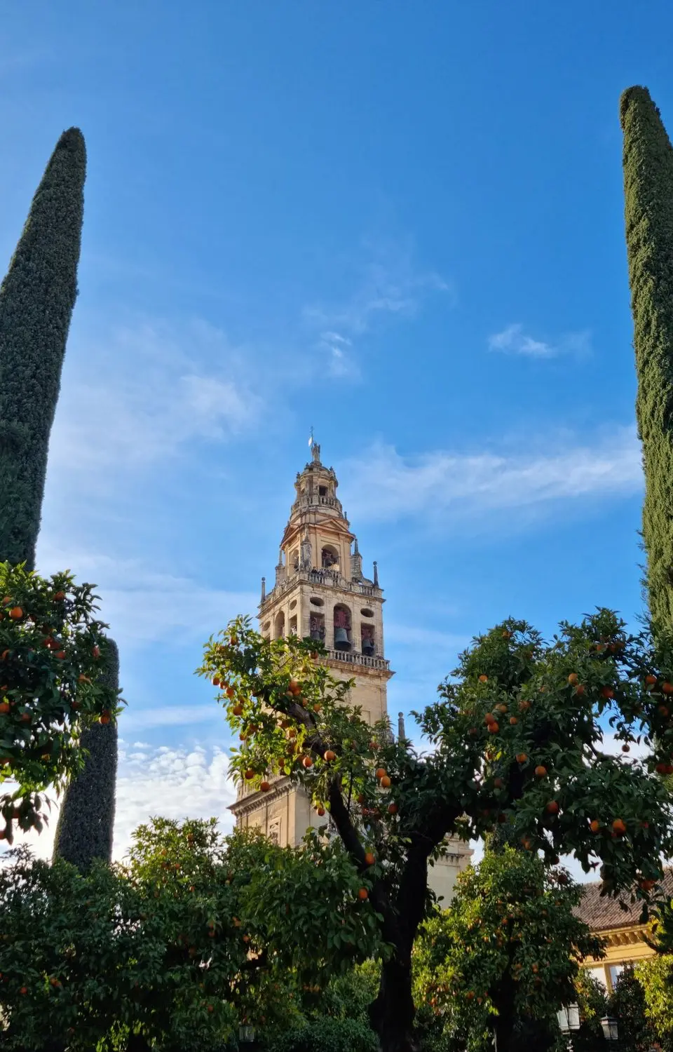 Tower of the Mosque-Cathedral of Córdoba framed by lush greenery and blue sky, AN, Spain.