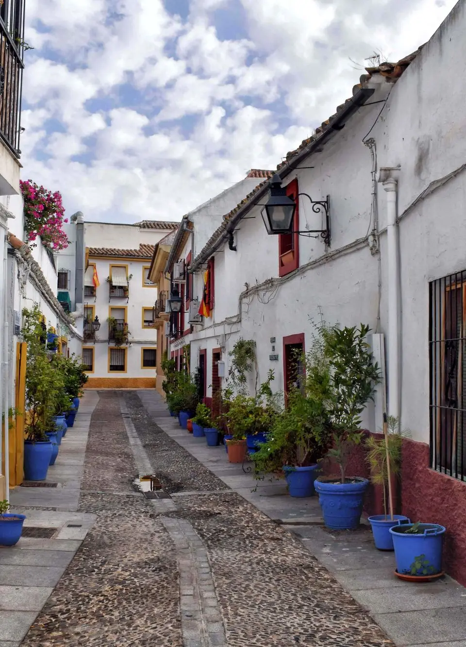 Charming alleyway in Córdoba, Spain, lined with whitewashed houses and vibrant potted plants, showcasing Mediterranean architecture.