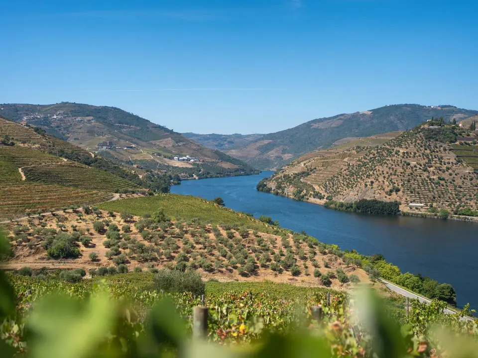 Beautiful view of the Douro River flanked by vineyards in Porto, Portugal.