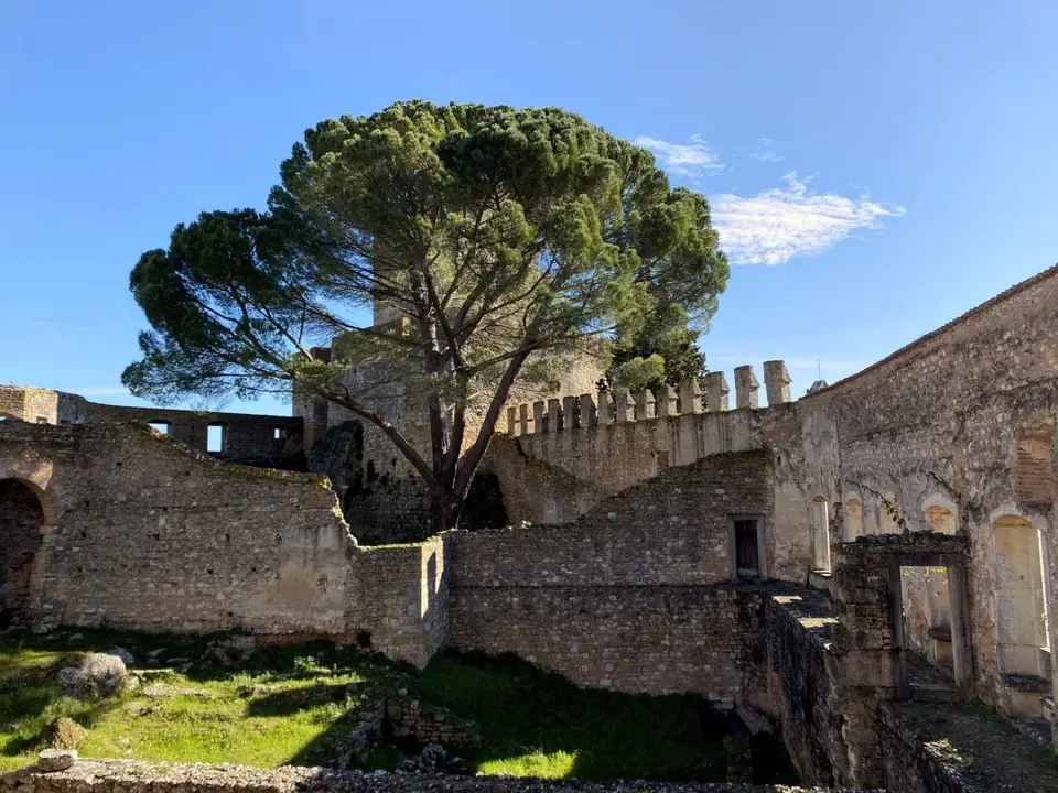Explore the medieval castle ruins surrounded by lush greenery in Tomar, Portugal.