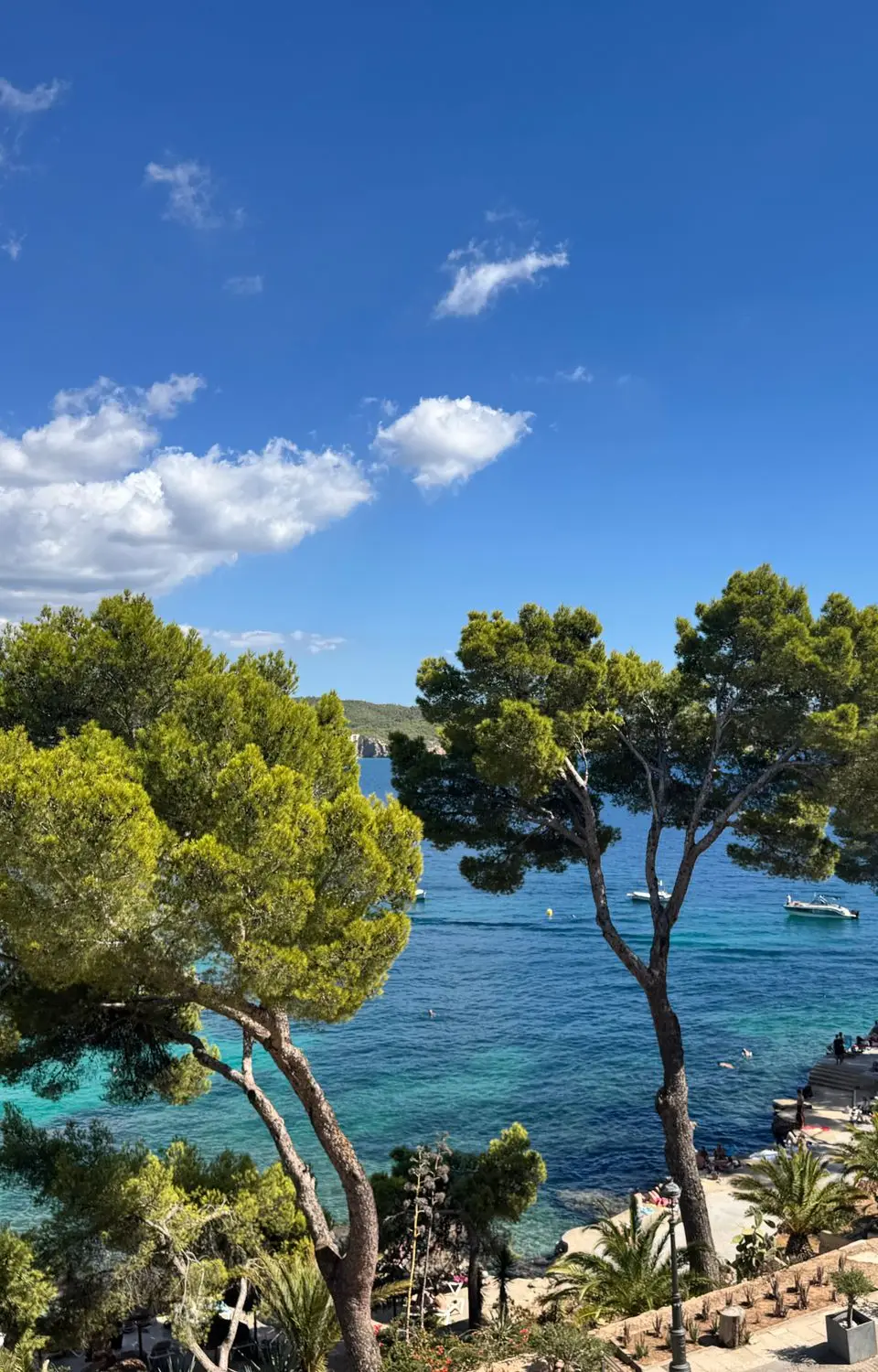 Stunning view of the Ibiza coastline with vibrant turquoise waters and pine trees under a clear sky.