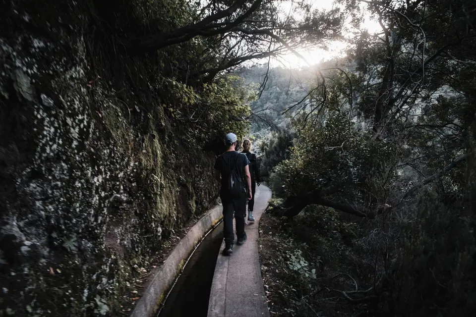 Group hiking on a lush Levada trail in Madeira, Portugal.