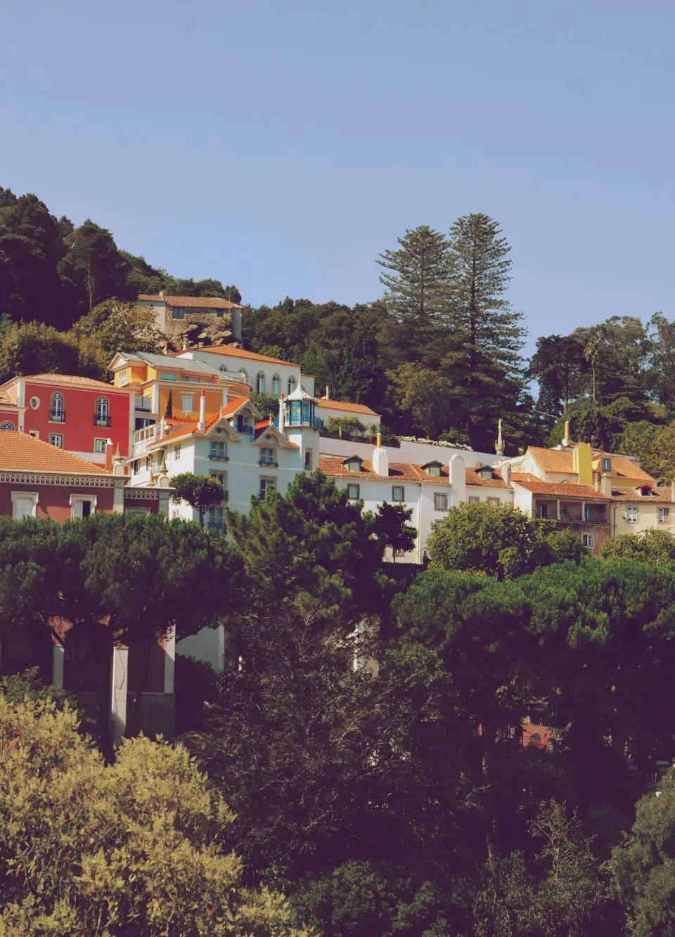 Colorful houses on a hilltop in Mafra, Portugal, surrounded by lush greenery and a clear sky.
