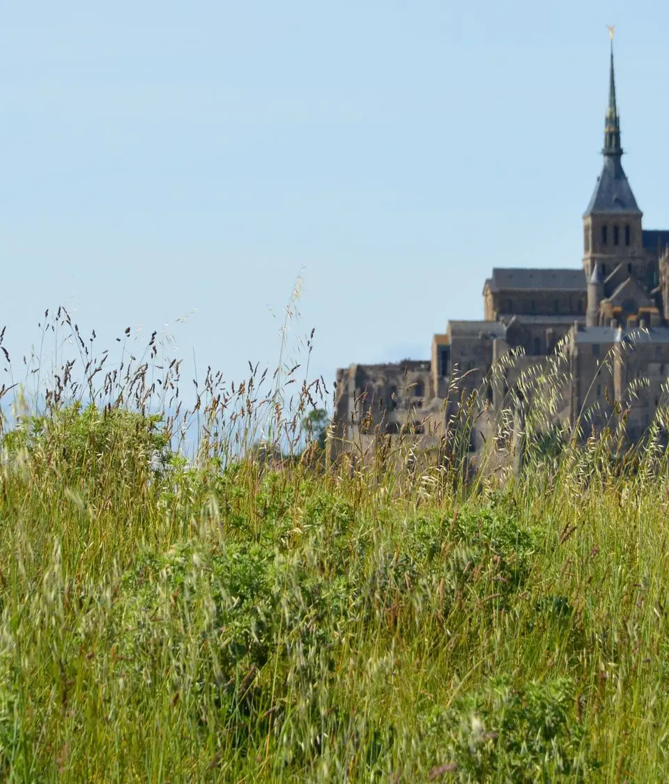 Grass field with Le Mont-Saint-Michel in the background under a clear blue sky.