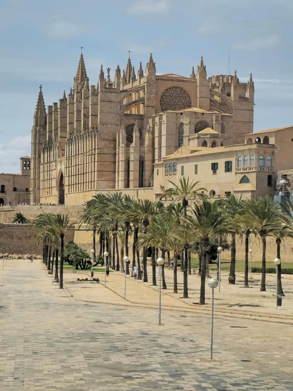 A breathtaking view of the Palma Cathedral and promenade in Mallorca, Spain.