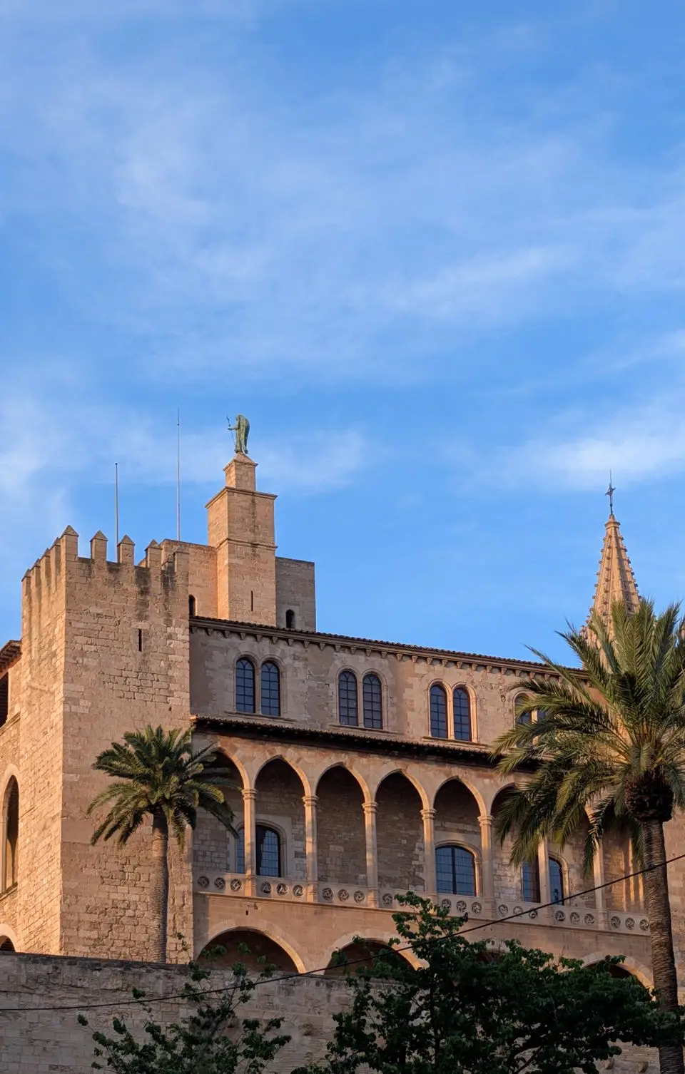 Scenic view of the stunning Gothic architecture in Palma de Mallorca, Spain, with palm trees and clear skies.
