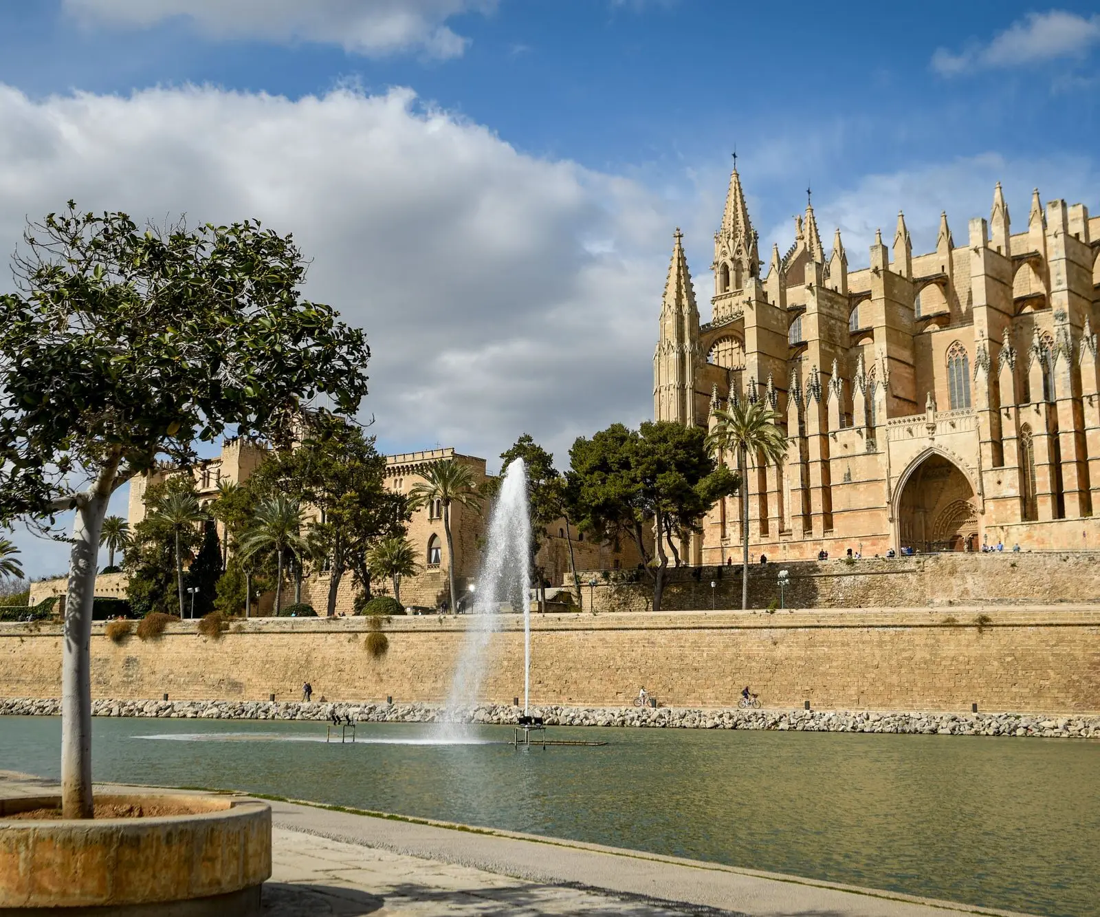 A scenic view of the Palma Cathedral and Almudaina Palace near a reflecting pool in Mallorca, Spain.