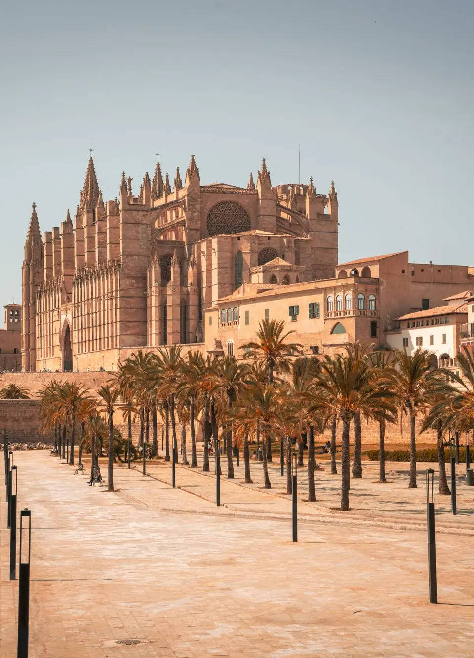 Beautiful day view of La Seu Cathedral with palm trees and reflection in Palma de Mallorca, Spain.