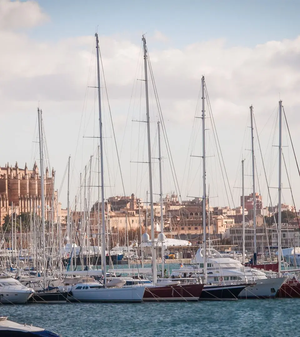 Scenic view of Palma's marina with yachts and the Cathedral in the background.