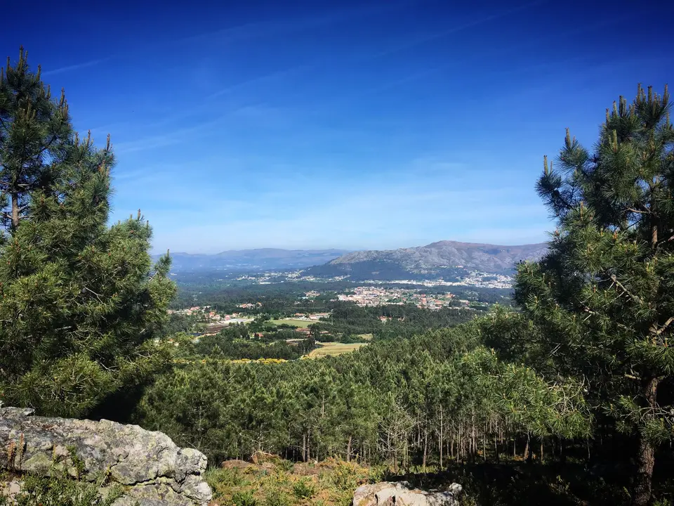 A stunning view of a lush valley surrounded by pine trees and mountains in Galicia, Spain.
