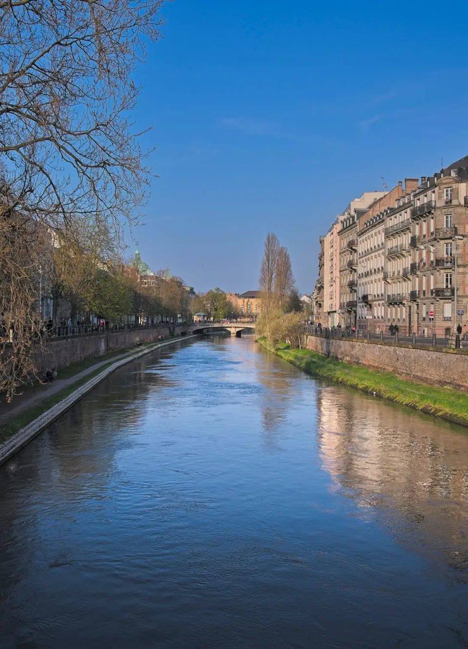 Scenic view of the Ill River in Strasbourg with historic buildings and tree-lined banks.