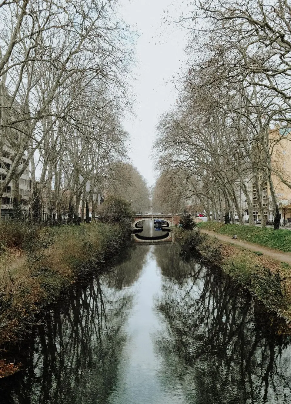 Picturesque canal and bridge in Toulouse, France, framed by bare autumn trees reflecting in the water.