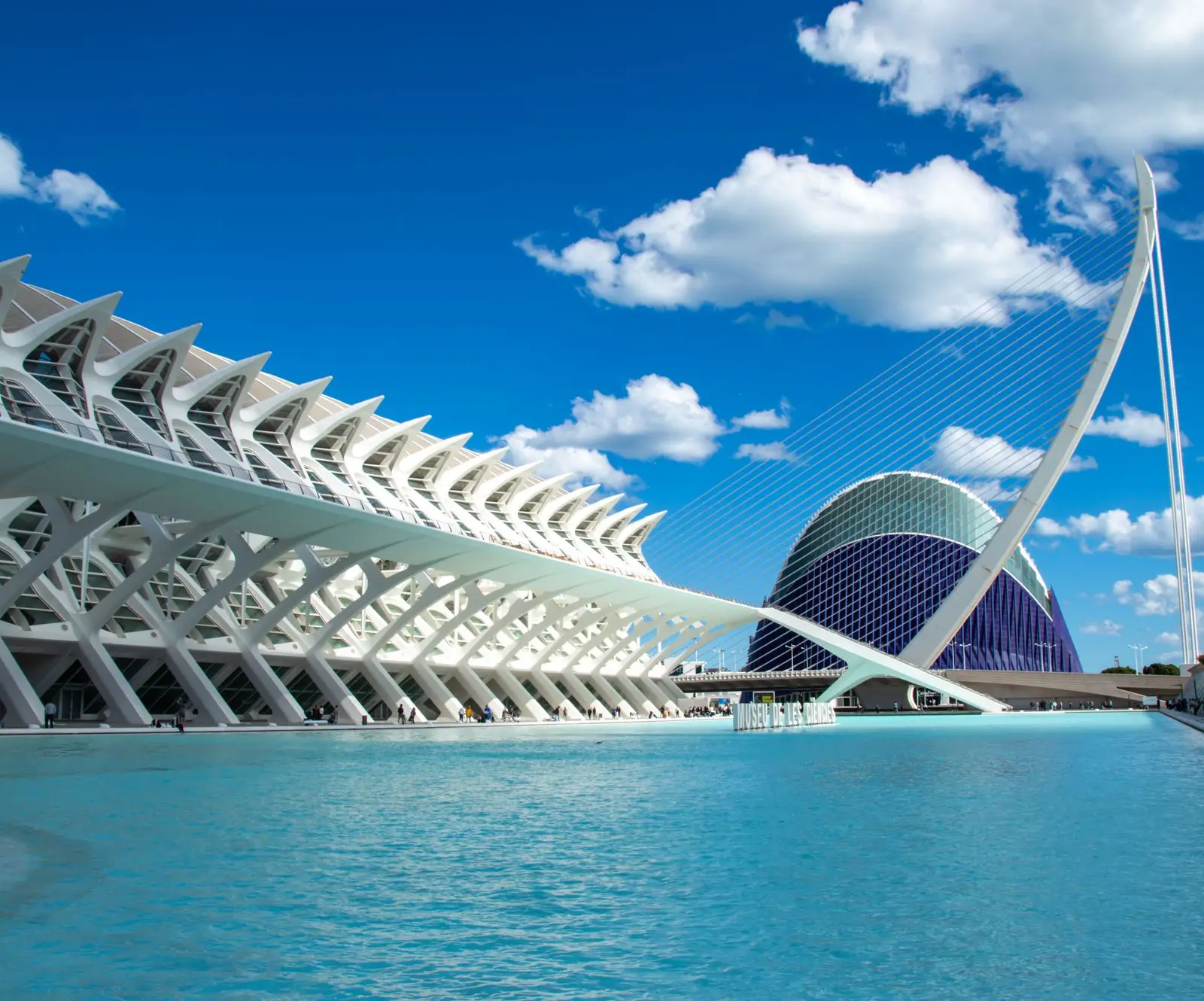 Explore the iconic City of Arts and Sciences in Valencia, showcasing stunning modern architecture and vibrant design.