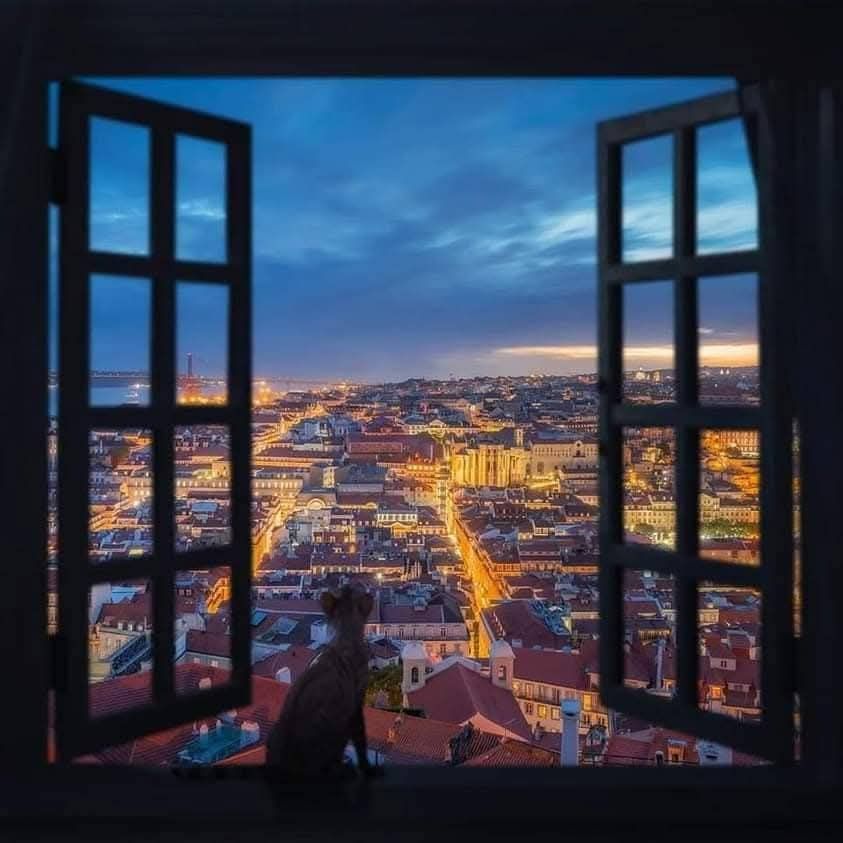 Half-Day Lisbon Tour — 3