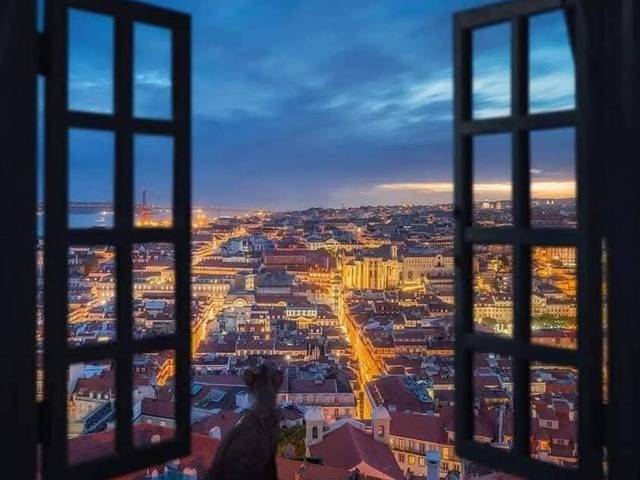 Half-Day Lisbon Tour — 3