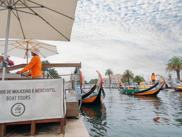 Moliceiro Tours in the Aveiro Lagoon — 3