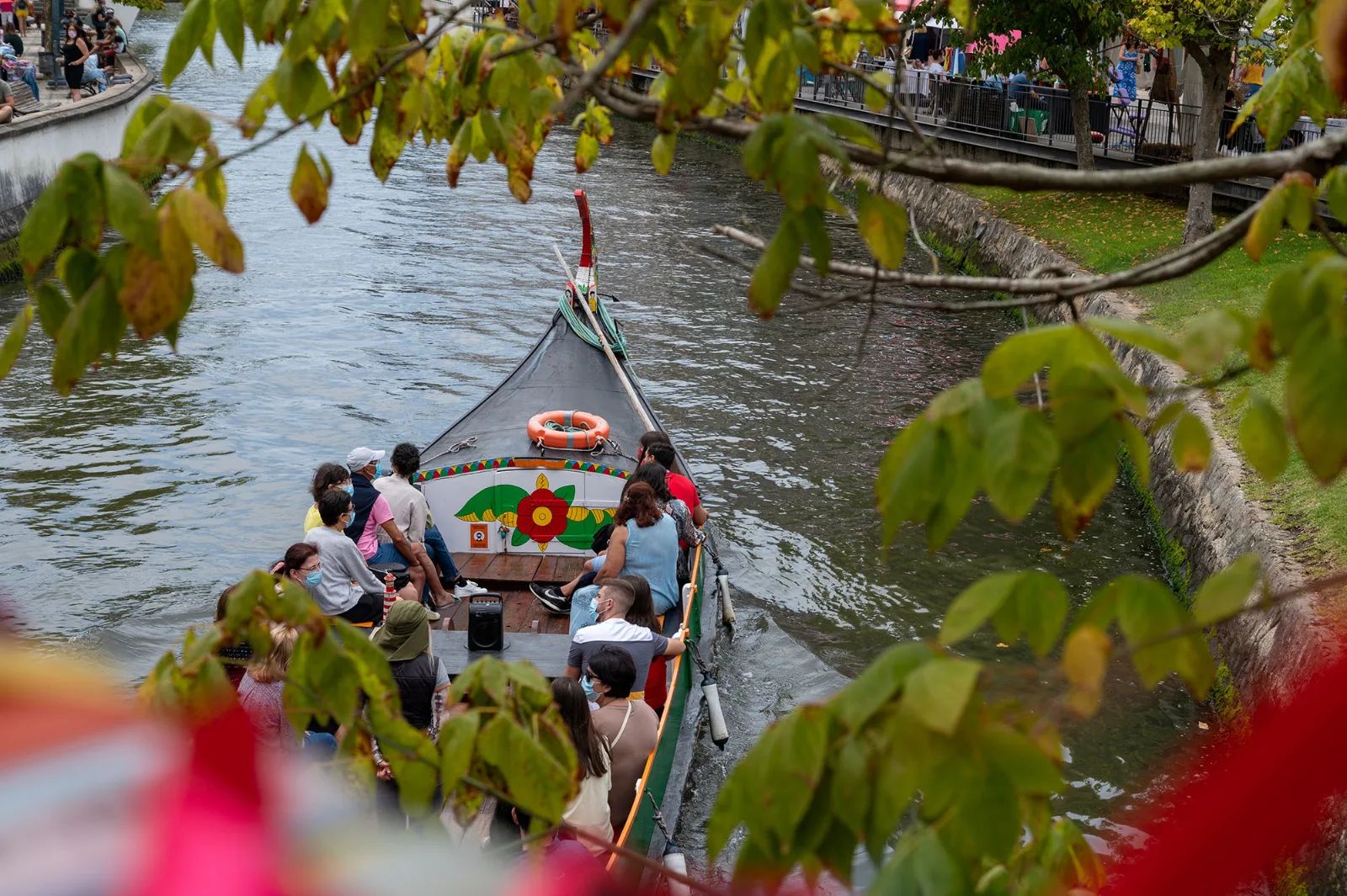 Moliceiro Tours in the Aveiro Lagoon — 2