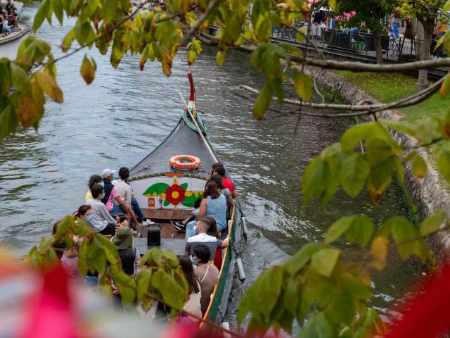 Moliceiro Tours in the Aveiro Lagoon — 2