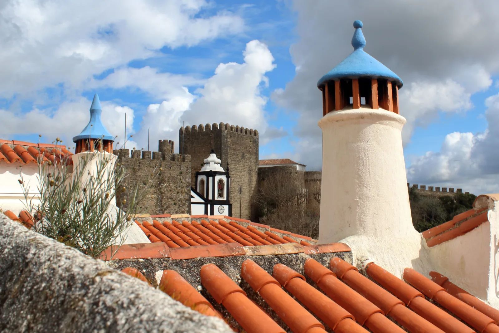 Coimbra, Aveiro e Óbidos: Universidade, Canais e Muralhas — Privado — 3