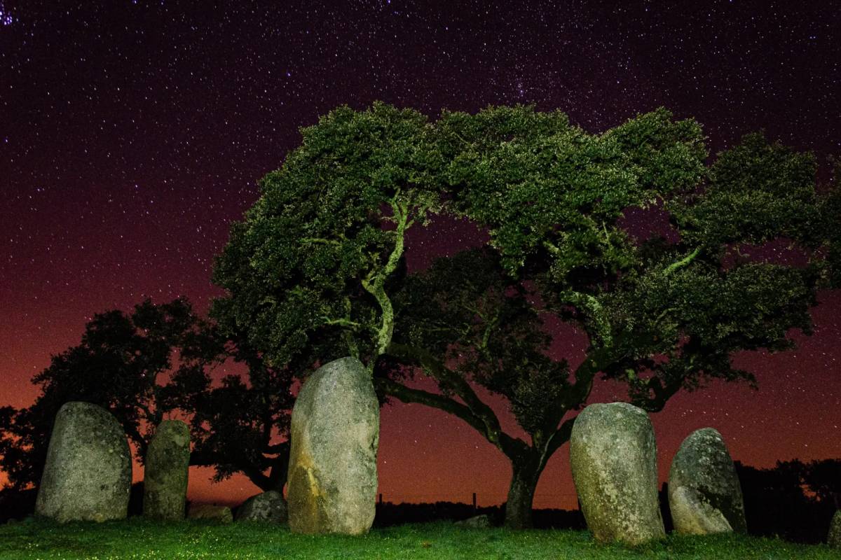 Évora ao Seu Ritmo: Megálitos, Cortiça e Vinhos — Tour Privado