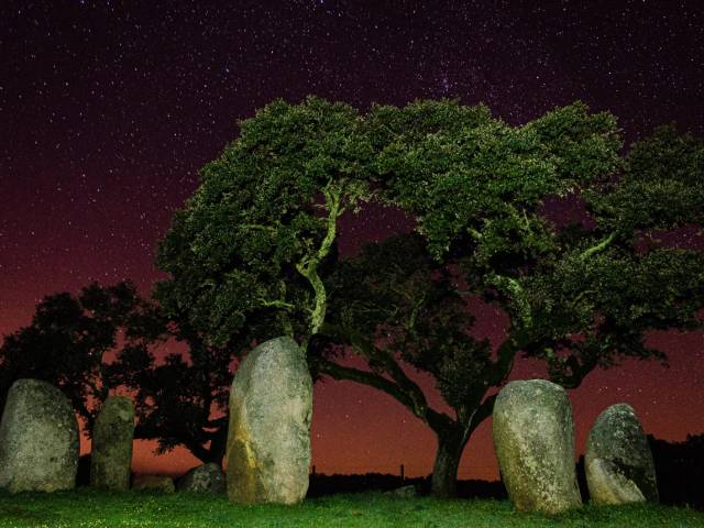 Évora, Monsaraz e Alqueva: Do Património às Estrelas — Privado — 3