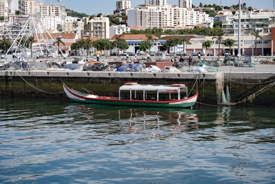 Transfer from Lisbon (Hotel/Airport) to Setúbal – Sado Dolphins