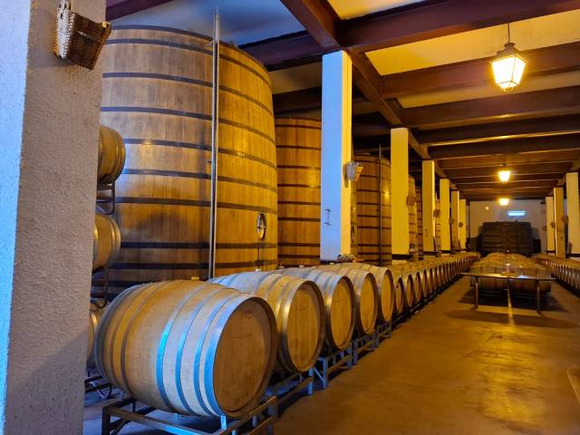 Azeitão, Arrábida e Évora: Vinhos, Paisagens e História — Privado — 2