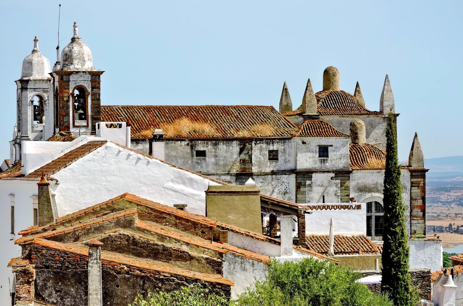 Almourol and Tomar: Templar Heritage and Optional Wine Tasting — Private — 3