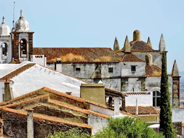 Almourol and Tomar: Templar Heritage and Optional Wine Tasting — Private — 3