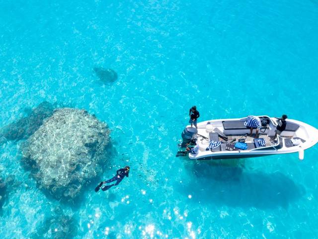 Snorkeling e Grutas da Ponta da Piedade em Lagos — 3