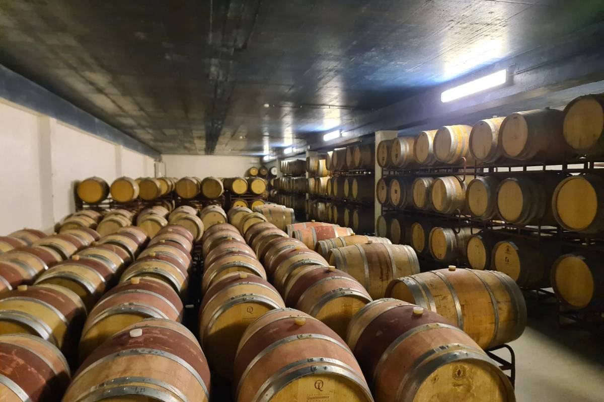 Visita a bodegas en Azeitão / Setúbal