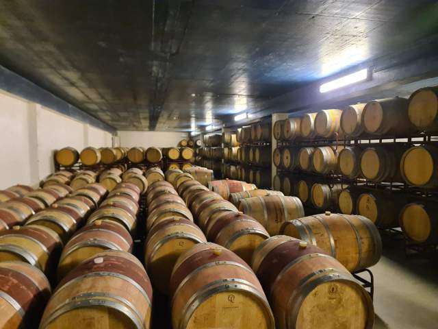 Visita a Adegas em Azeitão / Setúbal
