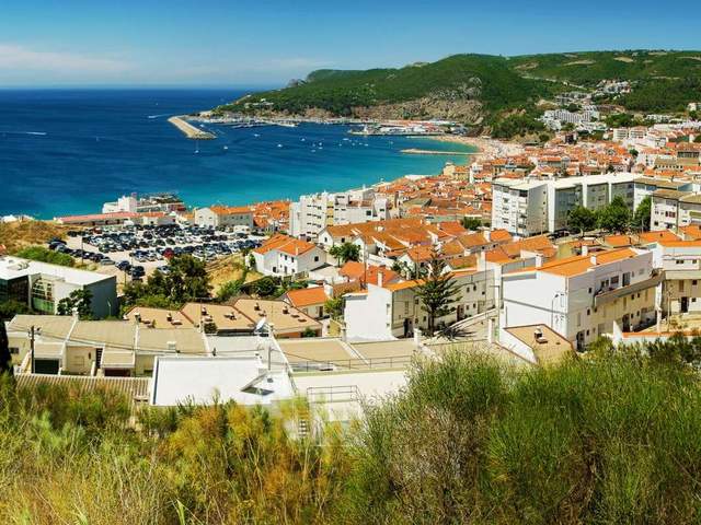 Comporta — Full Day (8 hours)