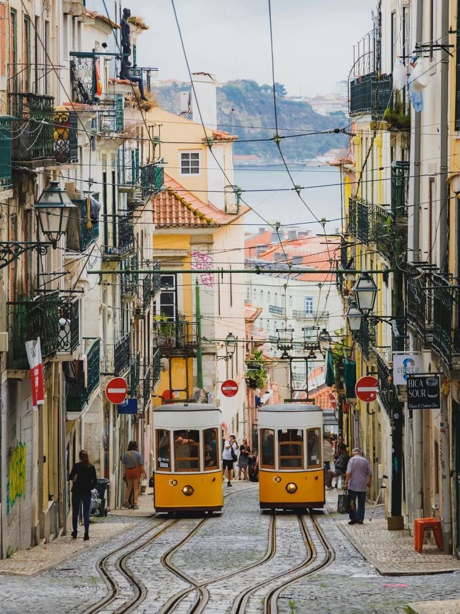 Lisbon Private Half-Day City Tour – Belém, Alfama & Pastel de Nata — 3