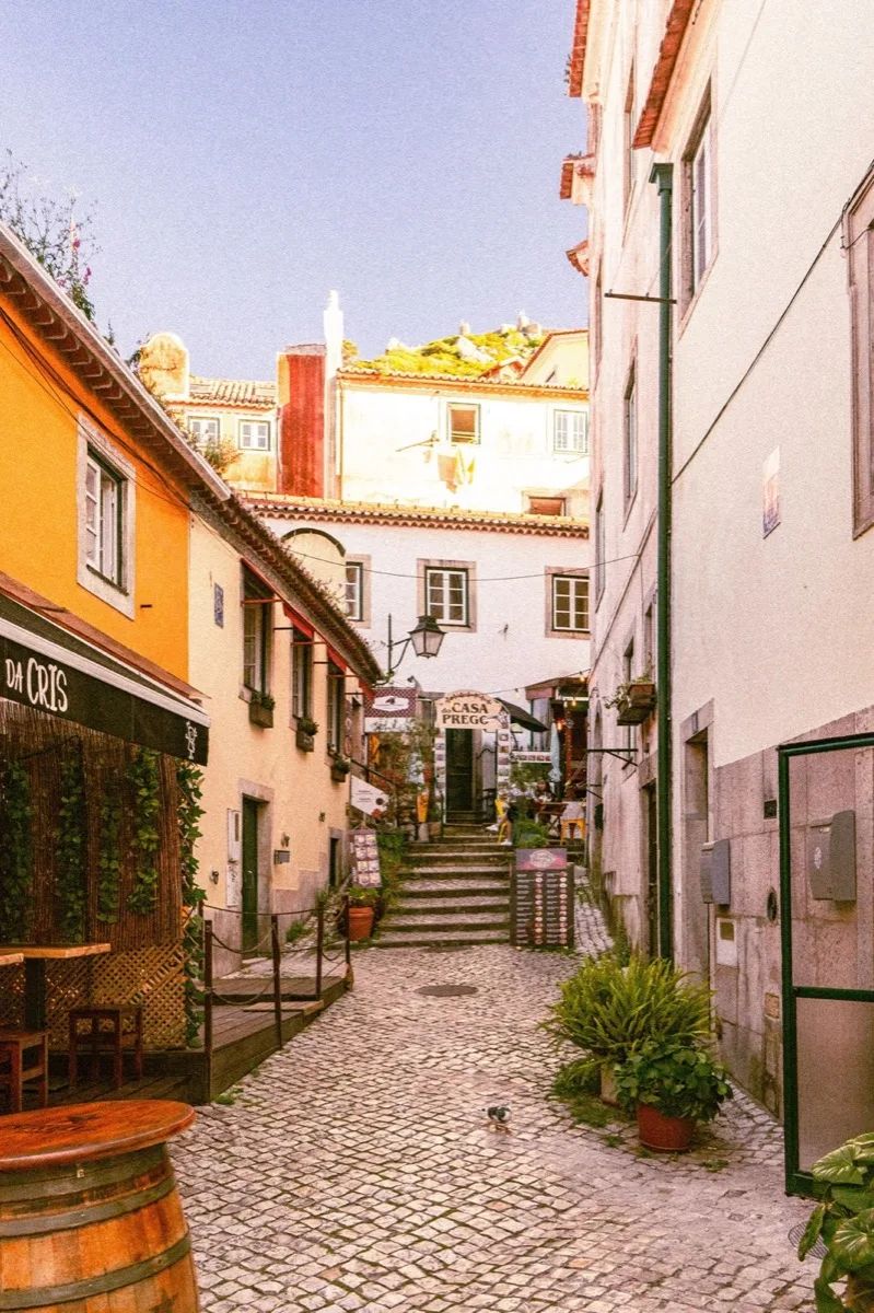 Sintra Half-Day Small-Group Tour with Pena Palace Ticket — 3