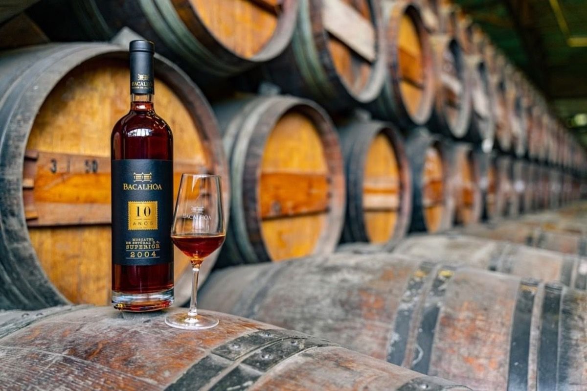 Tour privado de vinhos em Arrábida e Sesimbra com 2 adegas — 2
