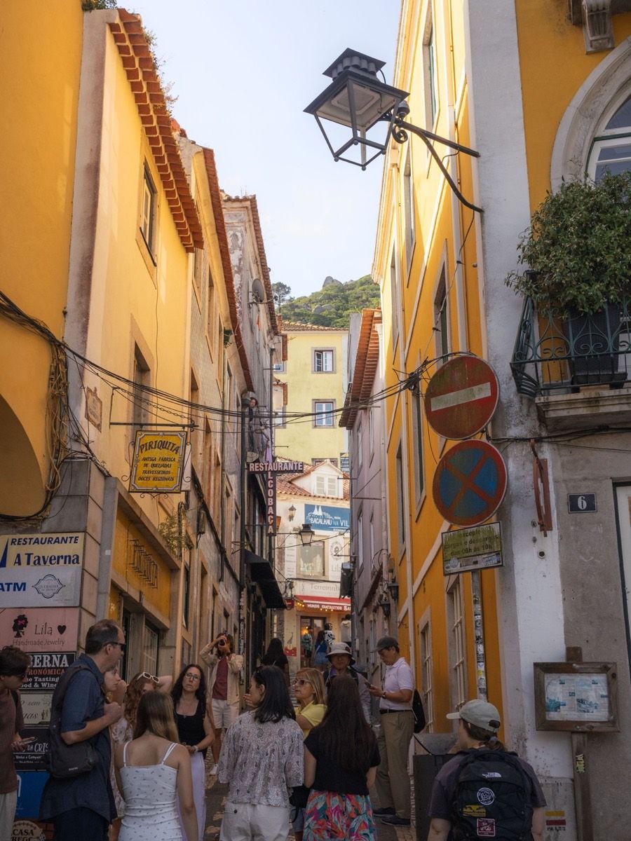 Private Half-Day Sintra Tour from Lisbon with Pena Palace Ticket — 2