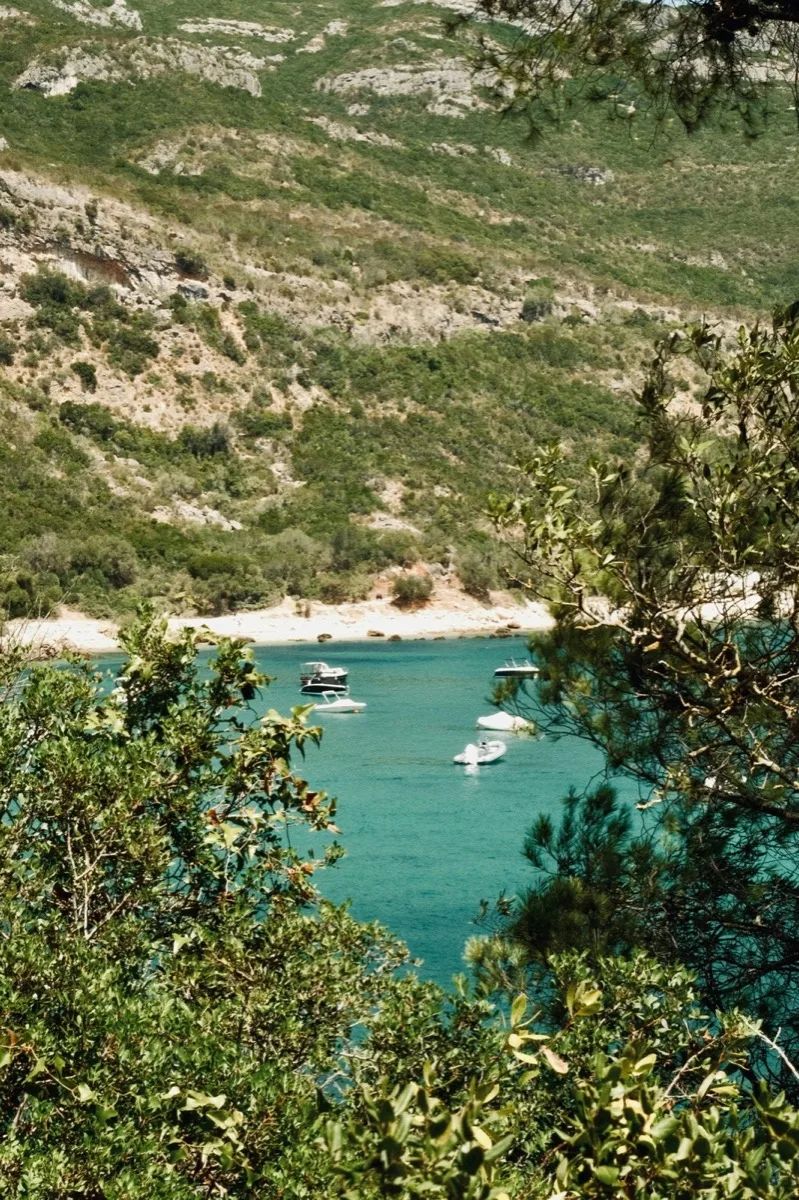 Arrábida & Sesimbra Private Wine Tour from Lisbon — 2