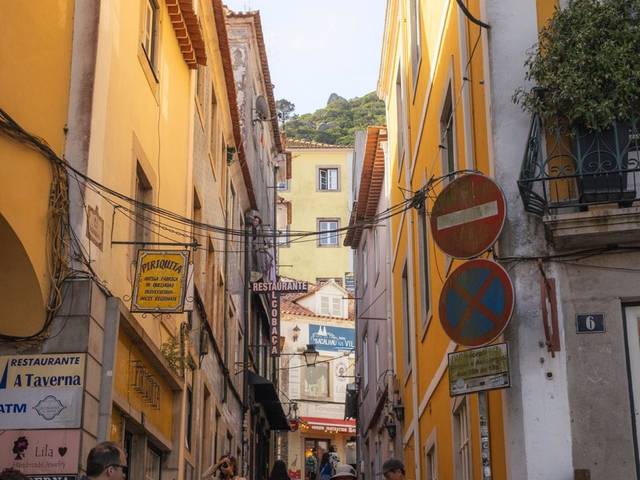 Excursão privada a Sintra com bilhetes para o Palácio da Pena e o Castelo dos Mouros — 3