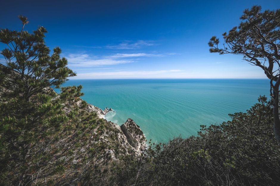 Arrábida — Half Day (4 hours) — 2