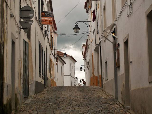 Évora et vins — journée complète (8 h) — 3