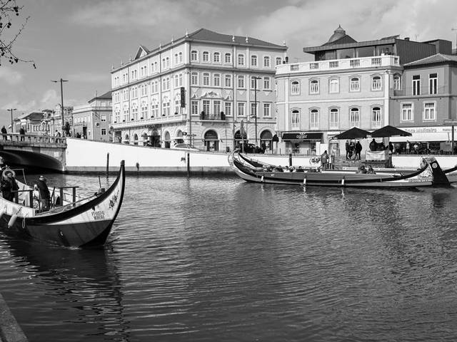 Transfer Lissabon → Aveiro, Fundão oder Albufeira — 3