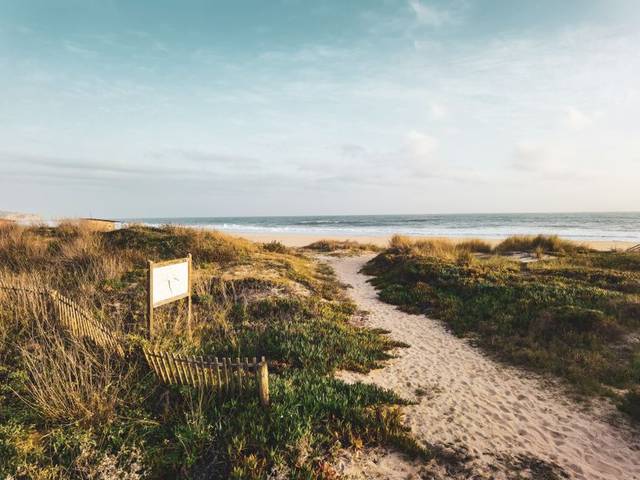 Costa Alentejana — Full Day (8 hours) — 3