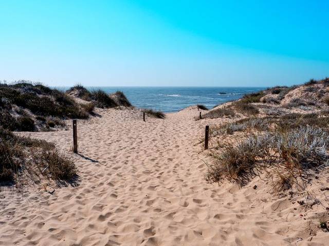 Costa Alentejana — Full Day (8 hours) — 2