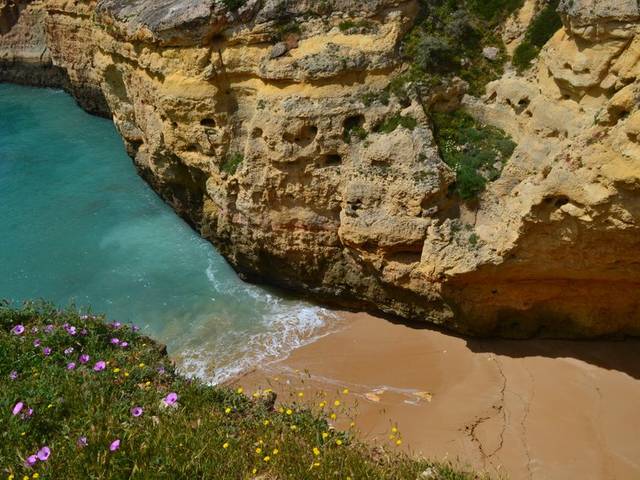 Circuit de 4 jours dans le Sud : Algarve, Évora, Arrábida et Ribatejo — 3