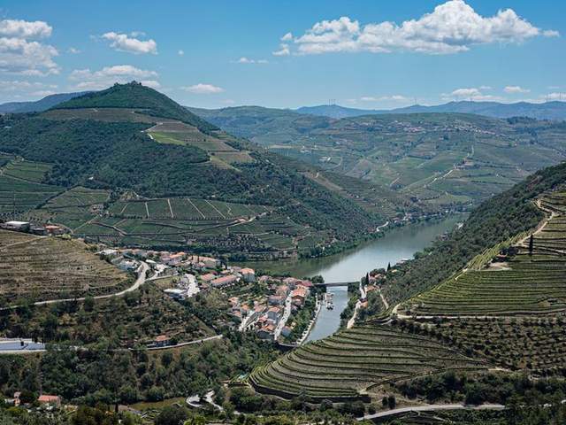 Douro — Ganztägig (14 Std.)