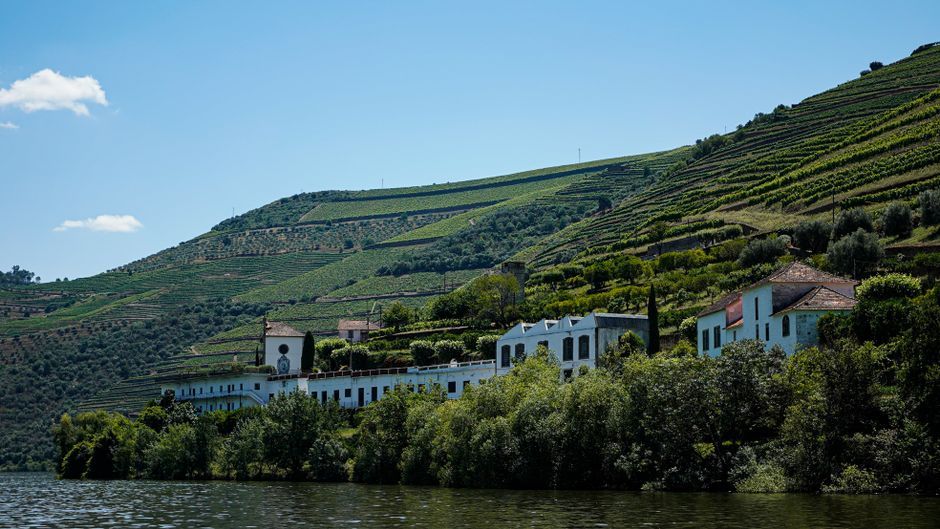 Douro — hele dag (14 uur) — 2